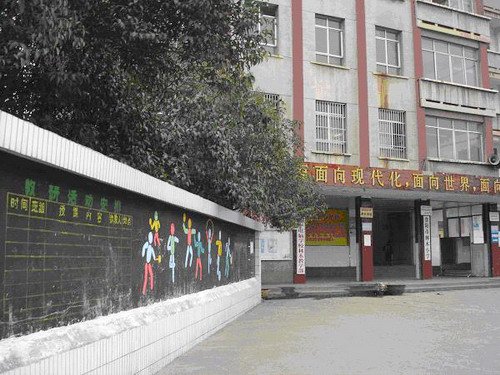 贵阳市林木小学图片