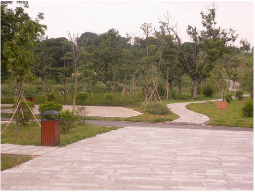 广州市天河区吉山小学图片