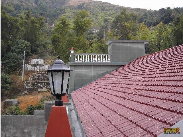 瑞安市九中|第九中学图片