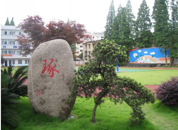 杭州市萧山区金山小学图片