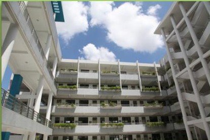 深圳市荔园小学南校区图片