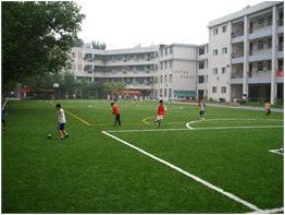 武汉市新合村小学图片