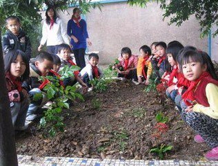 中山市东升镇坦背小学图片