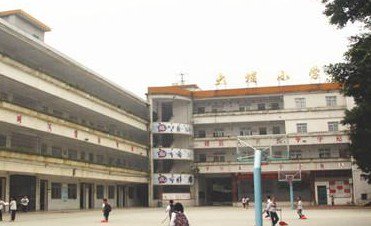 惠州市淡水大埔小学图片