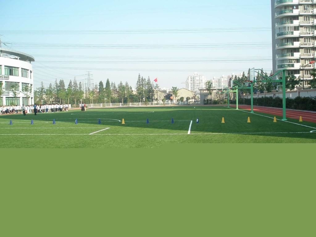 上海市上宝中学（东校区）图片