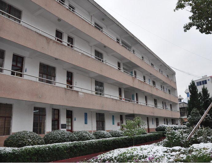 温州教师教育院附属学校图片