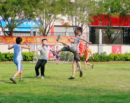 佛山顺德龙江东海小学图片