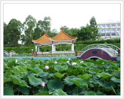 惠州市博罗县龙溪中学图片