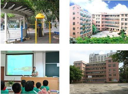 广州市荔湾区广雅小学（岭南湾畔校区）图片
