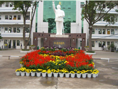 当阳市河溶高级中学图片