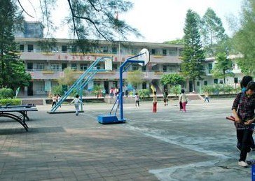 广州市萝岗区九龙第四小学图片