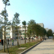 大邑青霞乡学校图片