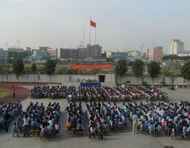 东莞望牛墩文英学校图片