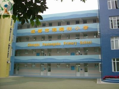 成都市泡桐树小学