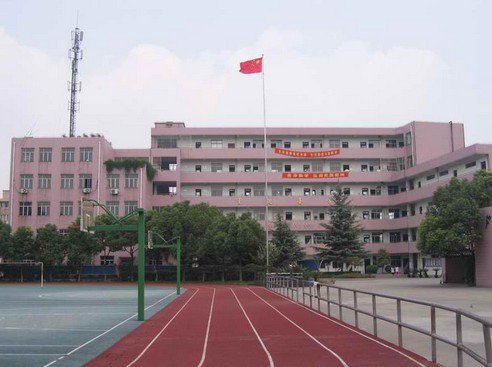 上海罗阳中学图片