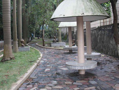 广州天河区长湴小学图片