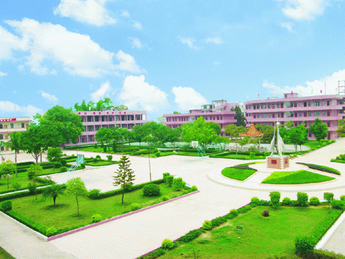 信宜市三中|第三中学图片