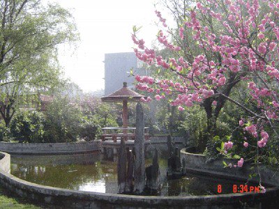 宁波市雅戈尔小学图片