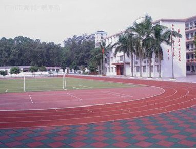 广州市黄埔区石化中学图片
