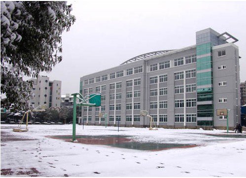 杭州市青春中学图片