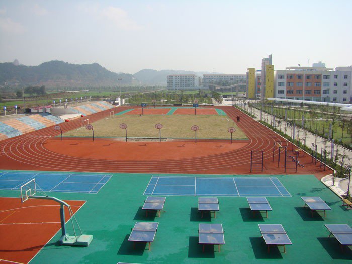 四川绵阳东辰国际学校（小学部）图片