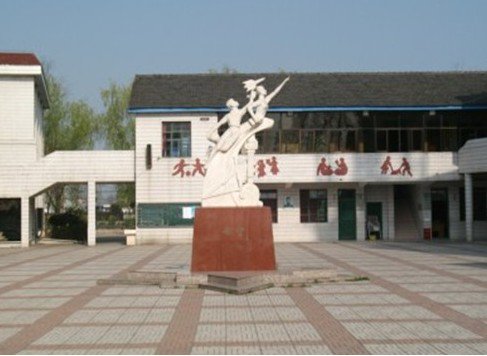 南京市江心洲中心小学图片