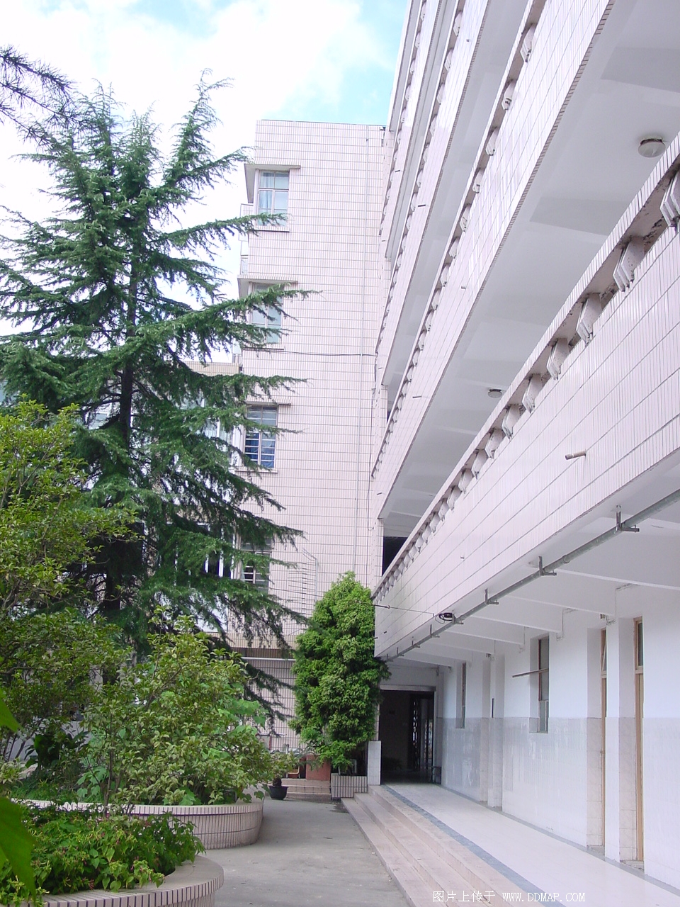 上海市和衷高级中学图片