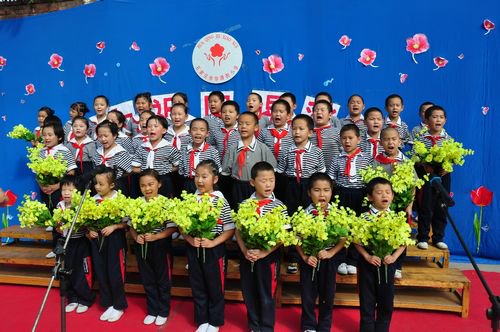 石家庄市华清街小学图片