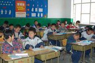 天津市武清区东蒲洼街大南宫中心小学图片