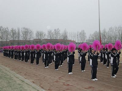 济宁市金乡县实验小学图片