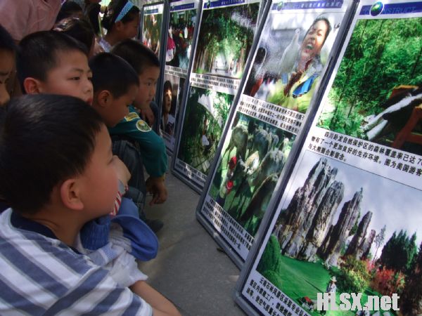 江苏省横林实验小学图片