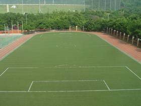 深圳市梅园小学图片