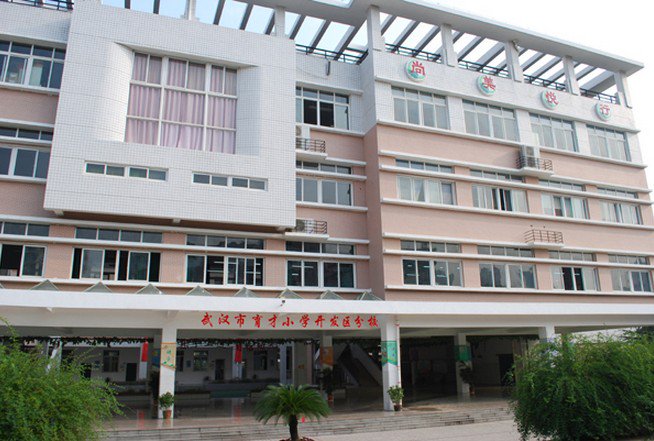 武汉市育才小学开发区分校图片