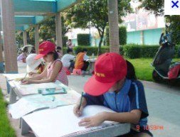 佛山市顺德区杏坛小学图片