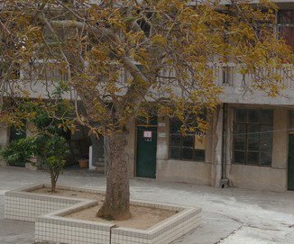 珠海市斗门区白蕉镇昭信小学图片