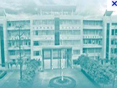 佛山市顺德区世埠小学图片