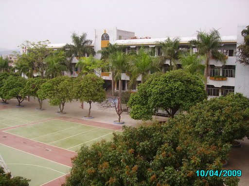 东莞市大岭山嘉福小学图片