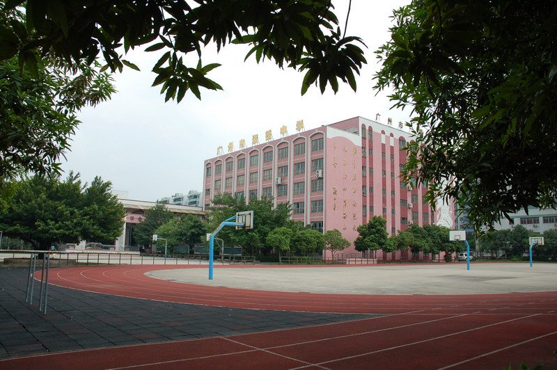广州市聚德中学图片