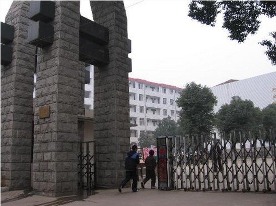 武汉市江夏区实验中学图片