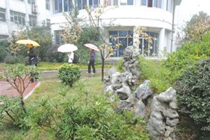 武汉市关山中学图片