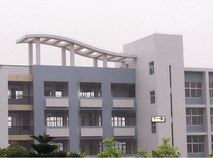 广州市龙归中学图片