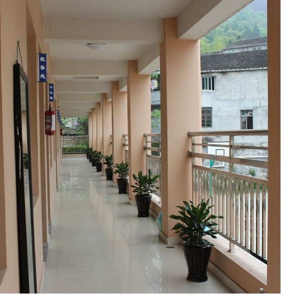 温州市瓯海区泽雅镇周岙小学图片