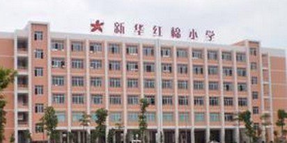 广州市花都区新华红棉小学图片