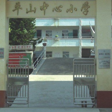 惠州市惠东县平山中心小学图片