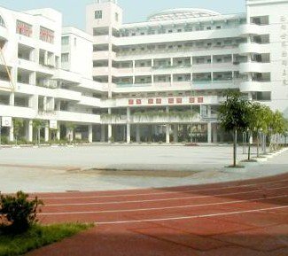 江门市紫茶小学(北校区)图片