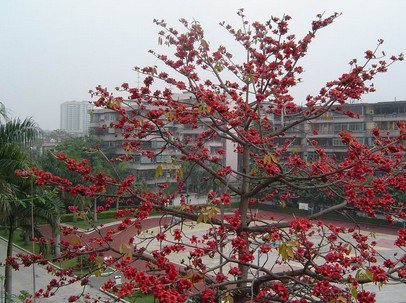 肇庆市第十二中学图片