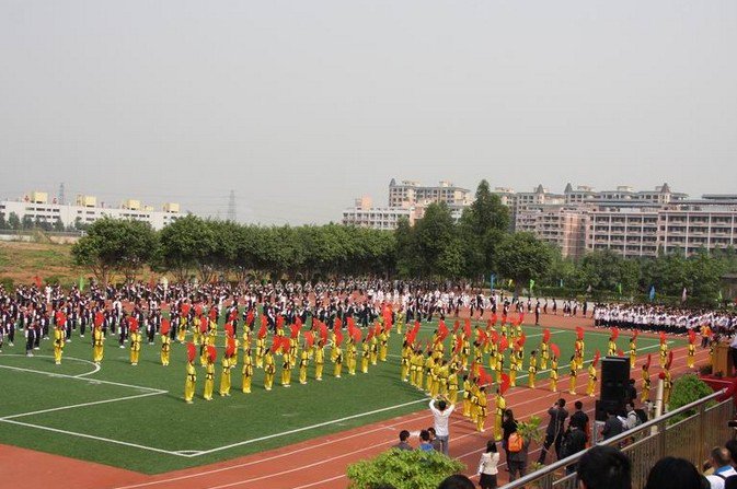 佛山市狮山镇松岗中心小学图片