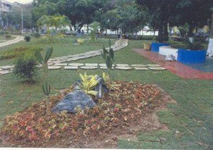 湛江市雷州市一中|第一中学（雷州一中）图片