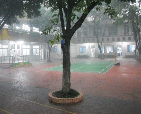 广州市荔湾区增滘小学图片