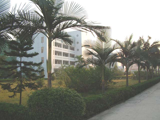 新兴县一中|第一中学（新兴一中）图片